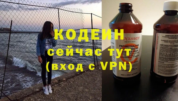 индика Баксан