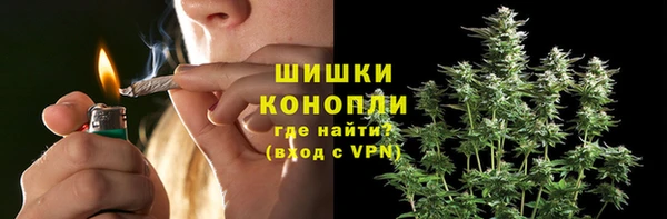 индика Баксан