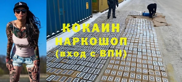 индика Баксан