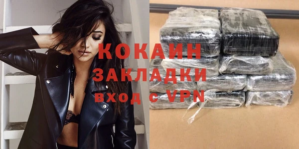 индика Баксан