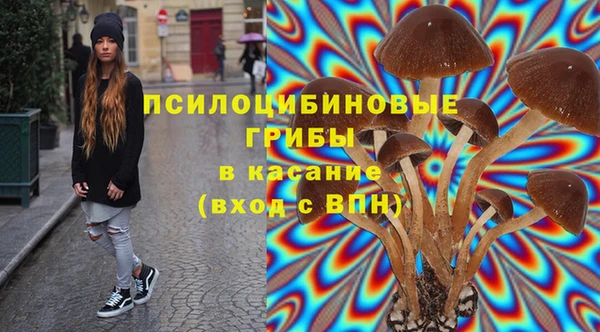 индика Баксан