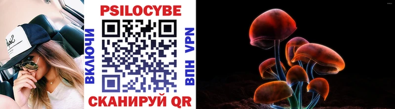 Галлюциногенные грибы мухоморы  как найти закладки  Балтийск 